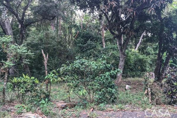 Terreno de 4 hectáreas en venta en veracruz, panamá