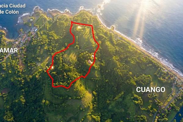 55 hectare cattle farm for sale in colon