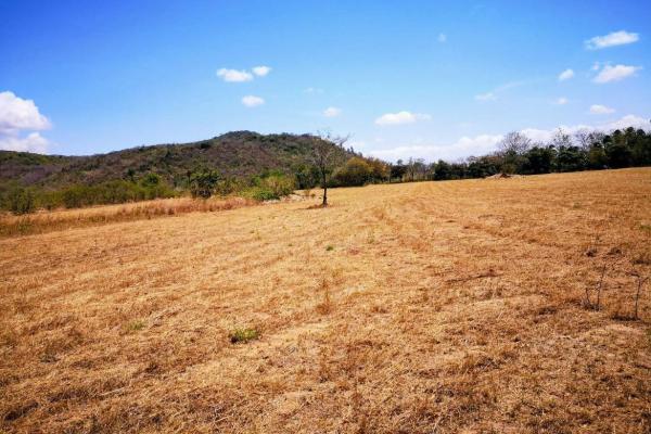 Se vende terreno de 5 hectareas en penonomé