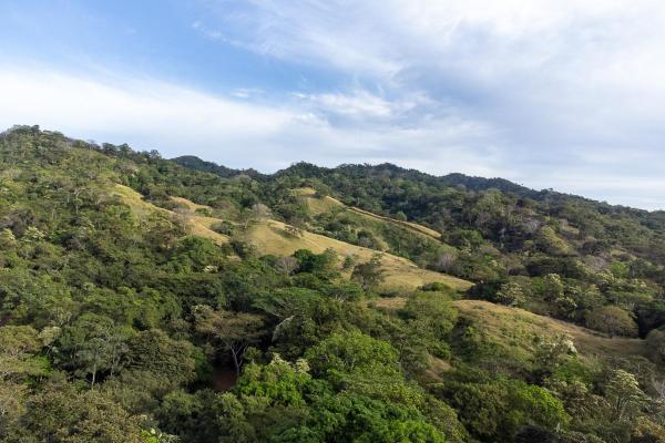 Cambutal lush property for sale near town