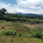 Land for sale in volcancito chiriqui