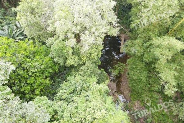 Finca en nuevo san juan , colón , 250 ha