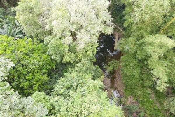 Finca en nuevo san juan , colón , 250 ha