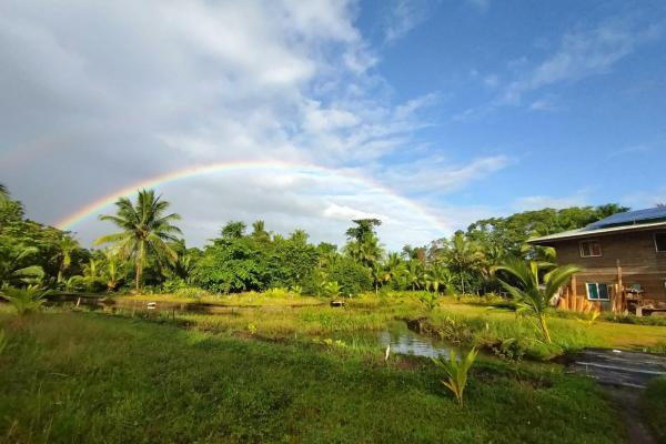 3 hectares of caribbean oceanfront