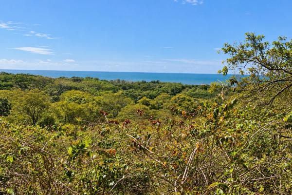 Venta de terreno en punta chame, nueva gorgona