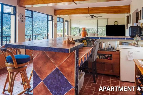 Home plus 2 apartments and casita for sale