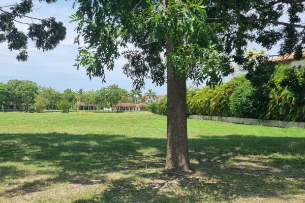 Lot facing the golf course in buenaventura