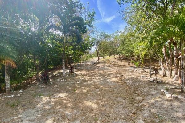 4.3 hectares finca – ideal community project