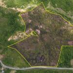 Land for sale 9.9 hectares in san carlos
