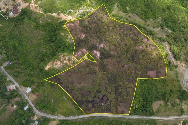 Land for sale 9.9 hectares in san carlos