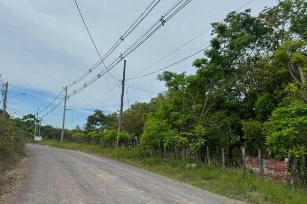 Venta de terreno de 9.9 hectáreas cerca de playas en el higo, san carlos