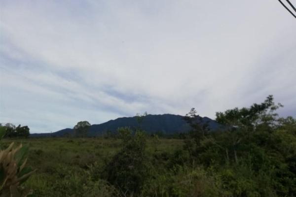 Amplios 5 hectáreas en venta en alto boquete
