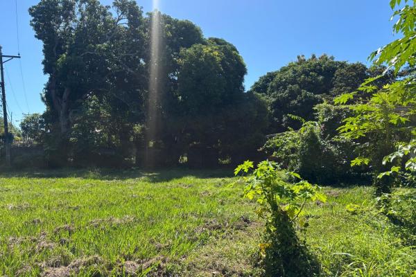 Venta de propiedad, terreno en coronado