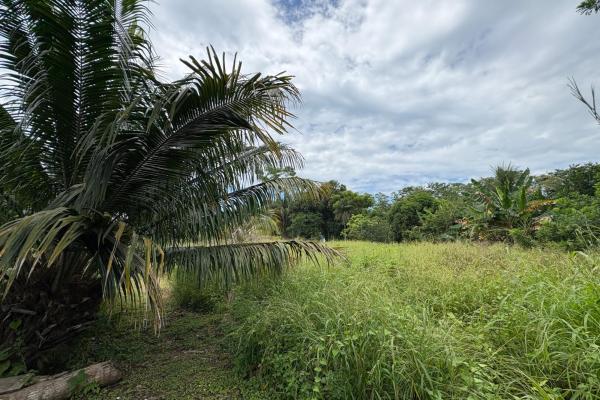 +9 hectáreas de terreno plano frente al mar en venta