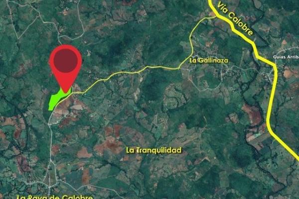 Ideal farm for sugarcane cultivation in veraguas