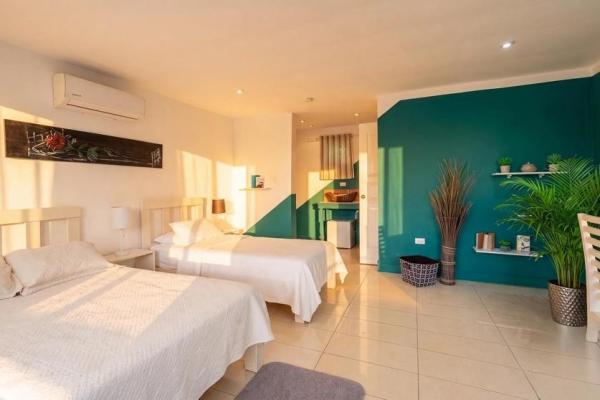 Propiedad con casa principal, 6 estudios y piscina