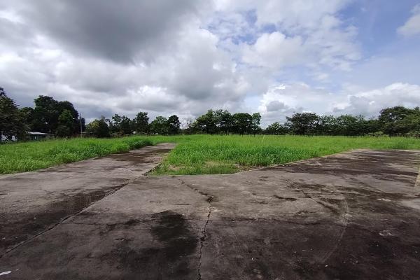 Warehouse with 1 hectare, coquito, david