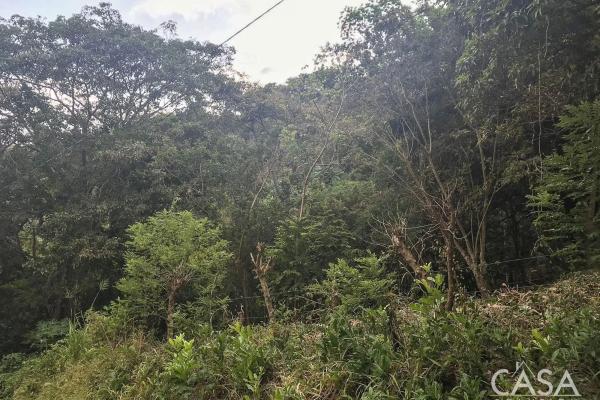 Terreno de 4 hectáreas en venta en veracruz, panamá