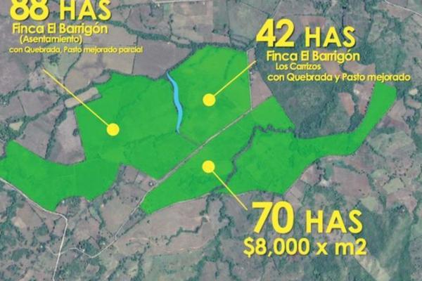 Venta de finca agrícola en ocú 128 hectáreas