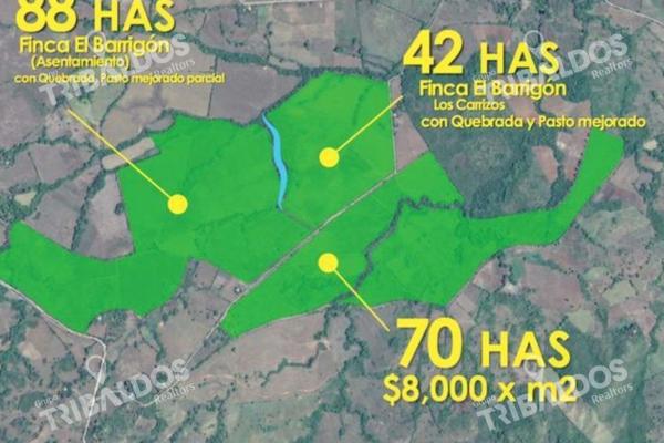 Venta de finca agrícola en ocú 128 hectáreas