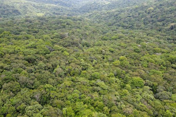 Land for sale in cerro azul