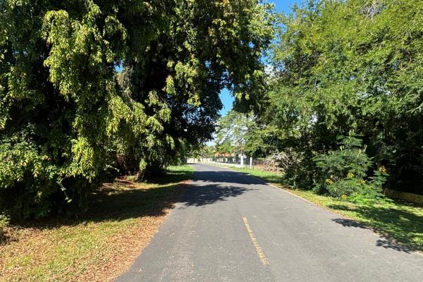 Venta de propiedad, terreno en coronado