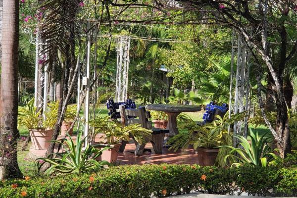 Se vende casa con plantación en nueva gorgona, chame