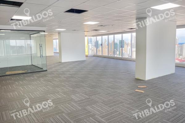 Alquiler de oficina en evolution tower