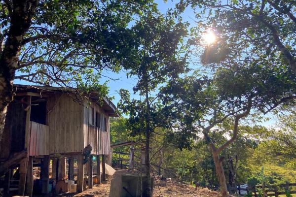 Cattle farm or private retreat