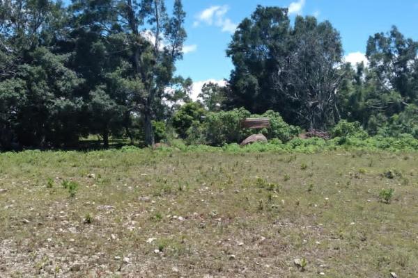 Land for sale in volcancito chiriqui
