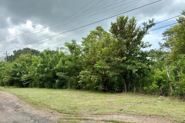 Land for sale in gorgona