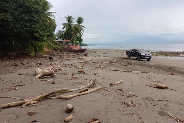 Land 172 acres in puerto armuelles, limones io