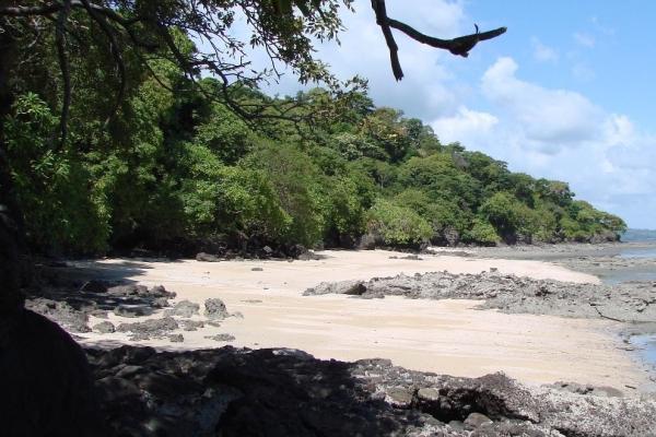 Beautiful and pristine beachfront property capira