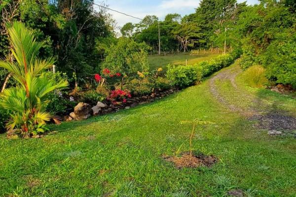 Furnished home for sale in dolega with gardens