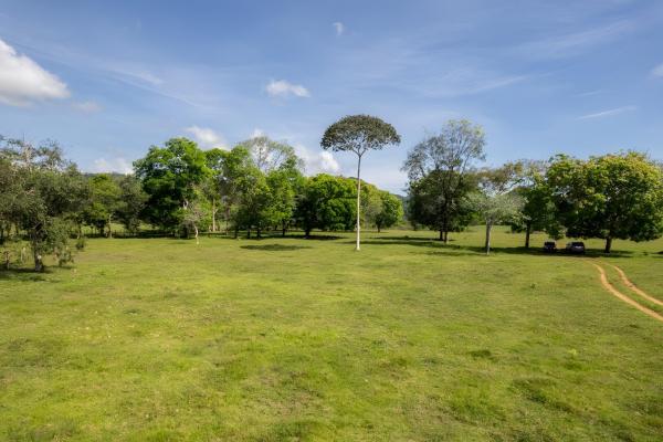 Four hectare property for urbanization in david