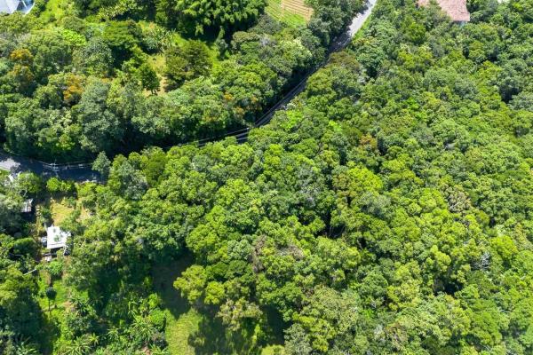 7,843 m² lot for sale in volcancito arriba