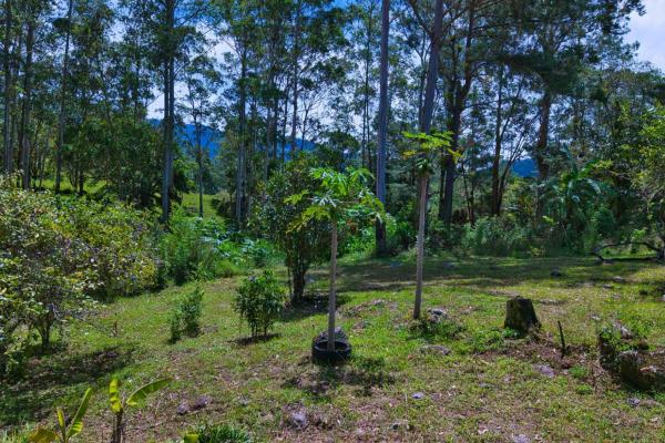 Experience the peace of volcán | land with a natural creek