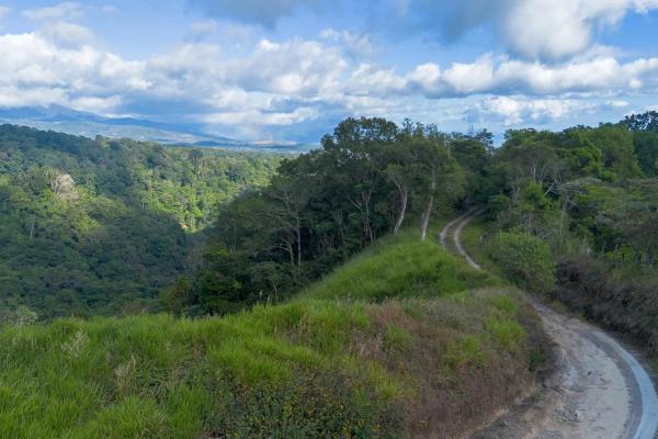 22 hectares with creek and mountain views