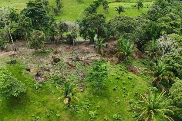 Se vende terreno para desarrollo residencial en el trapichito, la chorrera