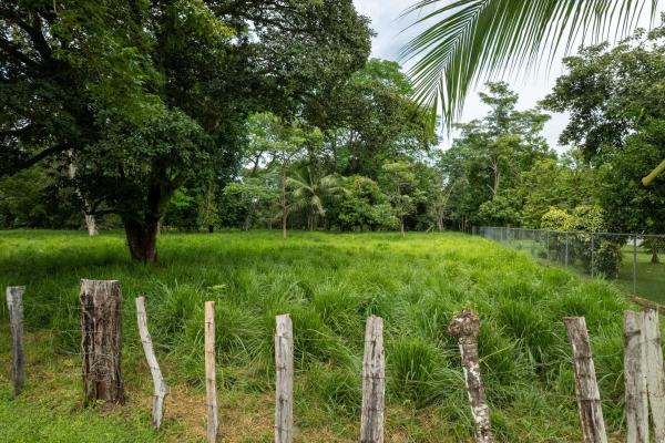 Se vende 2.02 hectareas planas en las lajas chiriqui