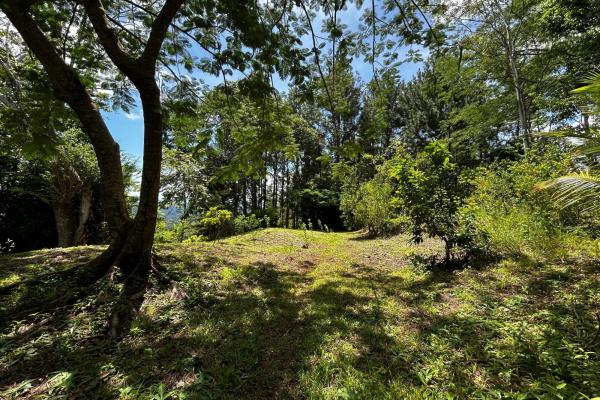 Hacienda de campo en 10.17 hectáreas, sorá