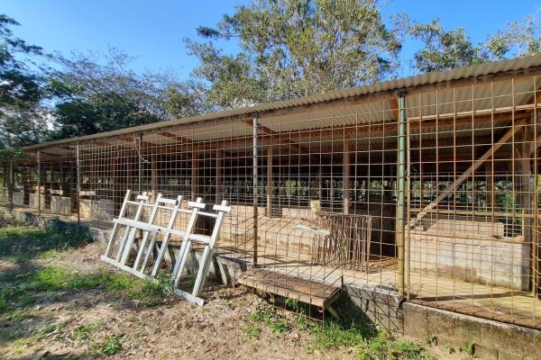 Finca agrícola en venta en renacimiento, monte lirio, palmarito.