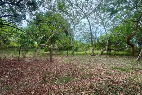 Venta de terreno de 9.9 hectáreas cerca de playas en el higo, san carlos
