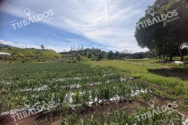 Venta de finca agroindustrial en volcan