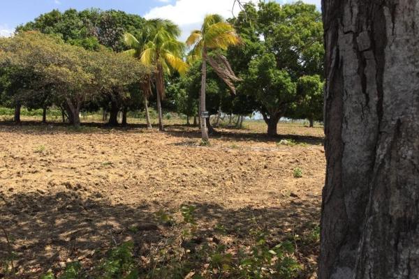 Venta de terreno en rio hato (coclé)