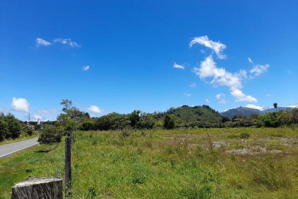 Flat road-front lot for sale in volcan