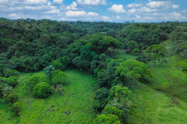 Naturaleza, espacio y potencial en un solo lugar