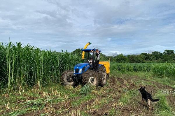 Granja de 13.6 ha con casa, galeras y río en natá, coclé