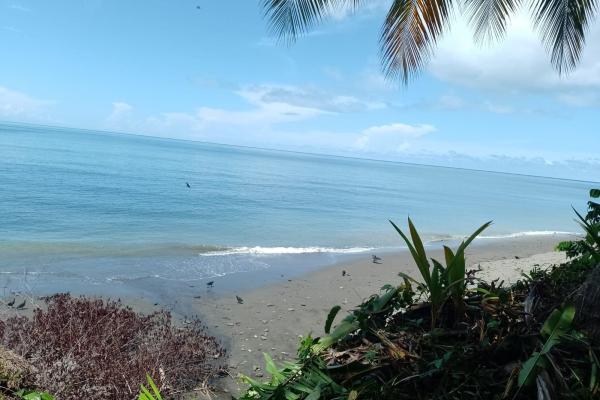 Land 172 acres in puerto armuelles, limones io