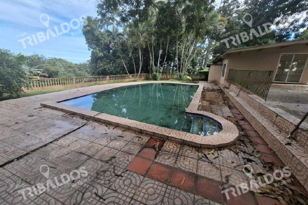 Sale of house in chorerra
